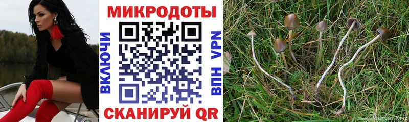 Псилоцибиновые грибы Psilocybe  продажа наркотиков  блэк спрут сайт  Бавлы 